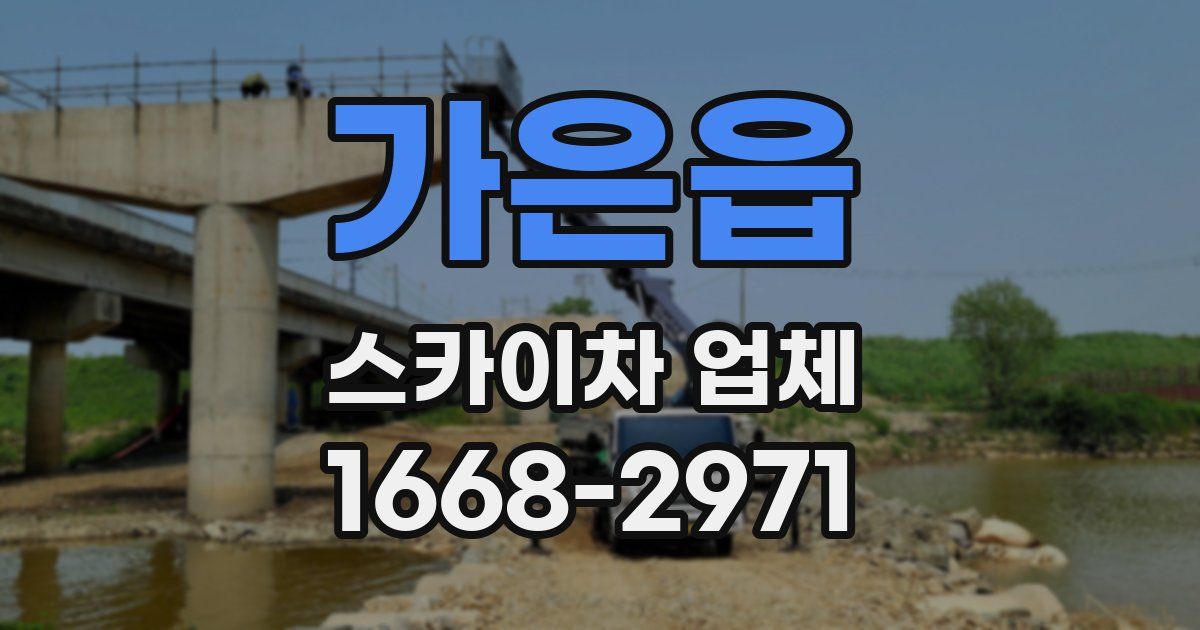 가은읍 스카이차 업체