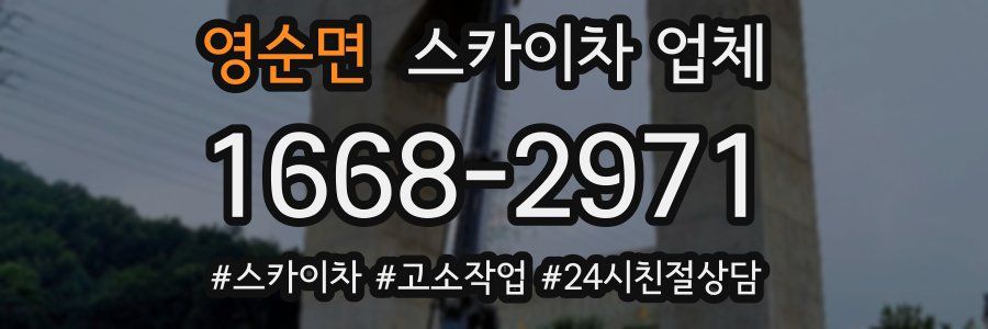 영순면 스카이차 업체