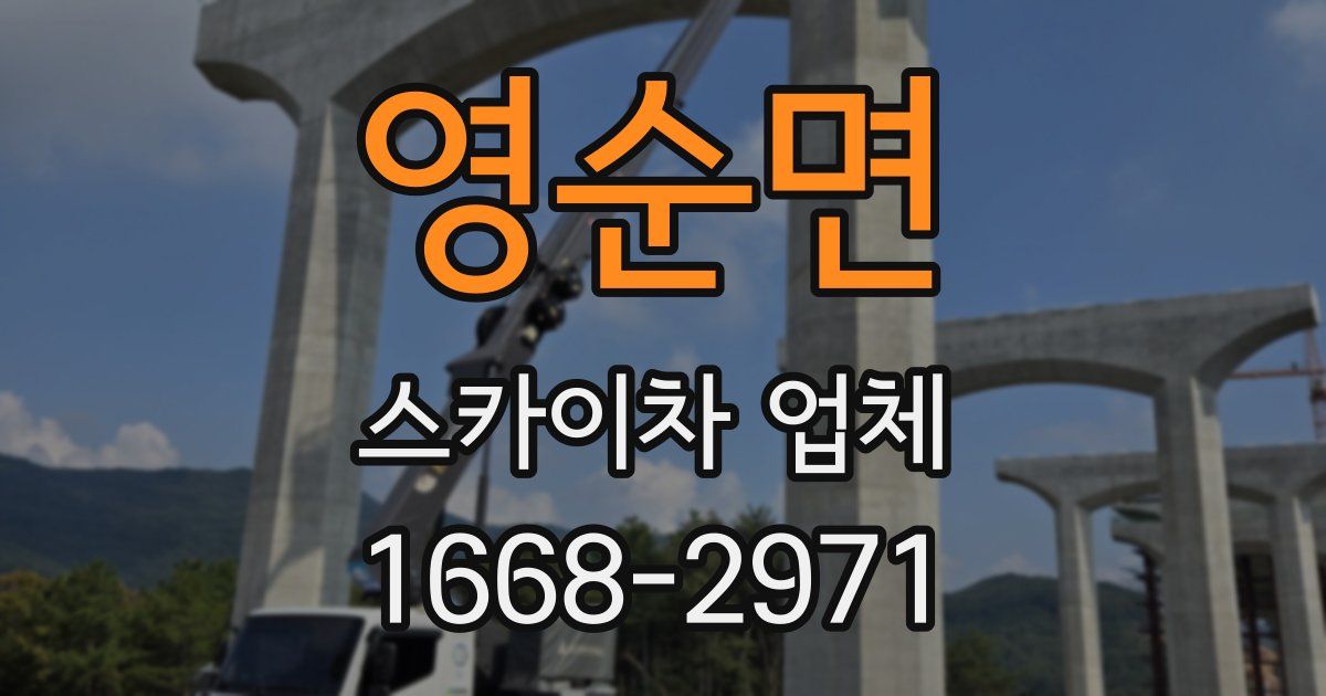 영순면 스카이차 업체