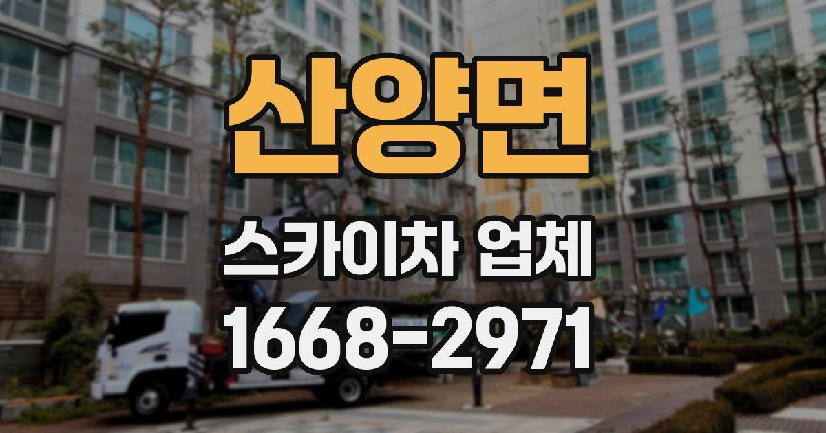 산양면 스카이차 업체