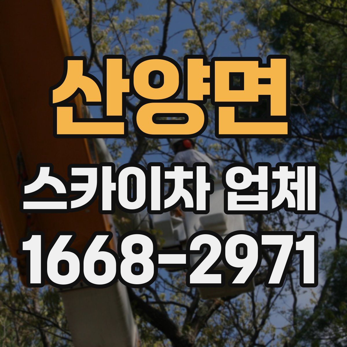 산양면 스카이차 업체