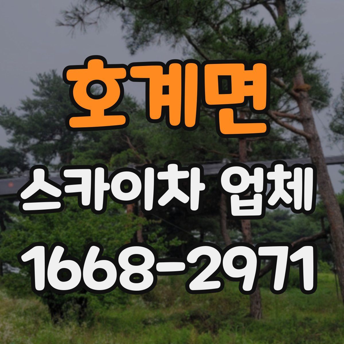 호계면 스카이차 업체