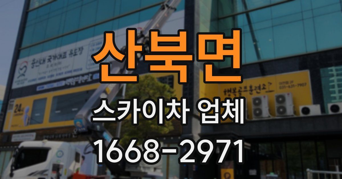 산북면 스카이차 업체