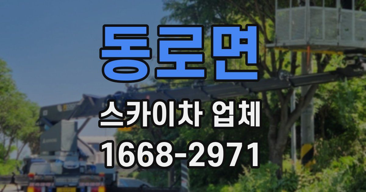 동로면 스카이차 업체