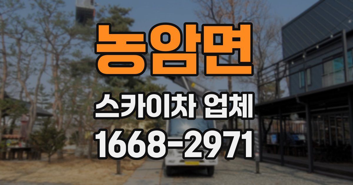 농암면 스카이차 업체