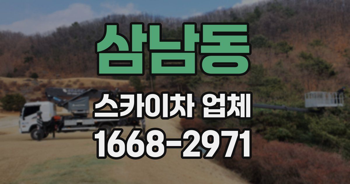 삼남동 스카이차 업체