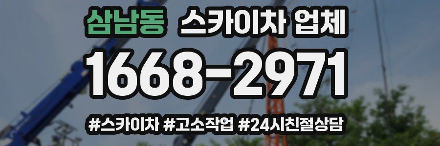 삼남동 스카이차 업체