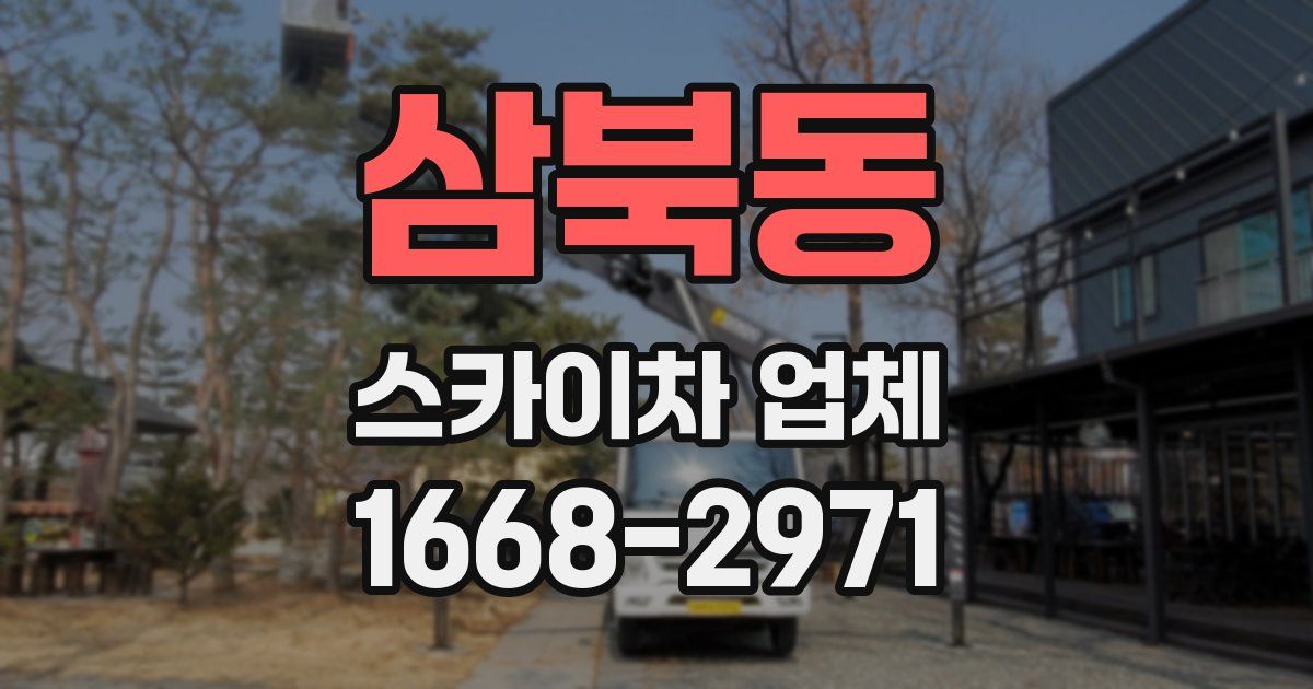 삼북동 스카이차 업체