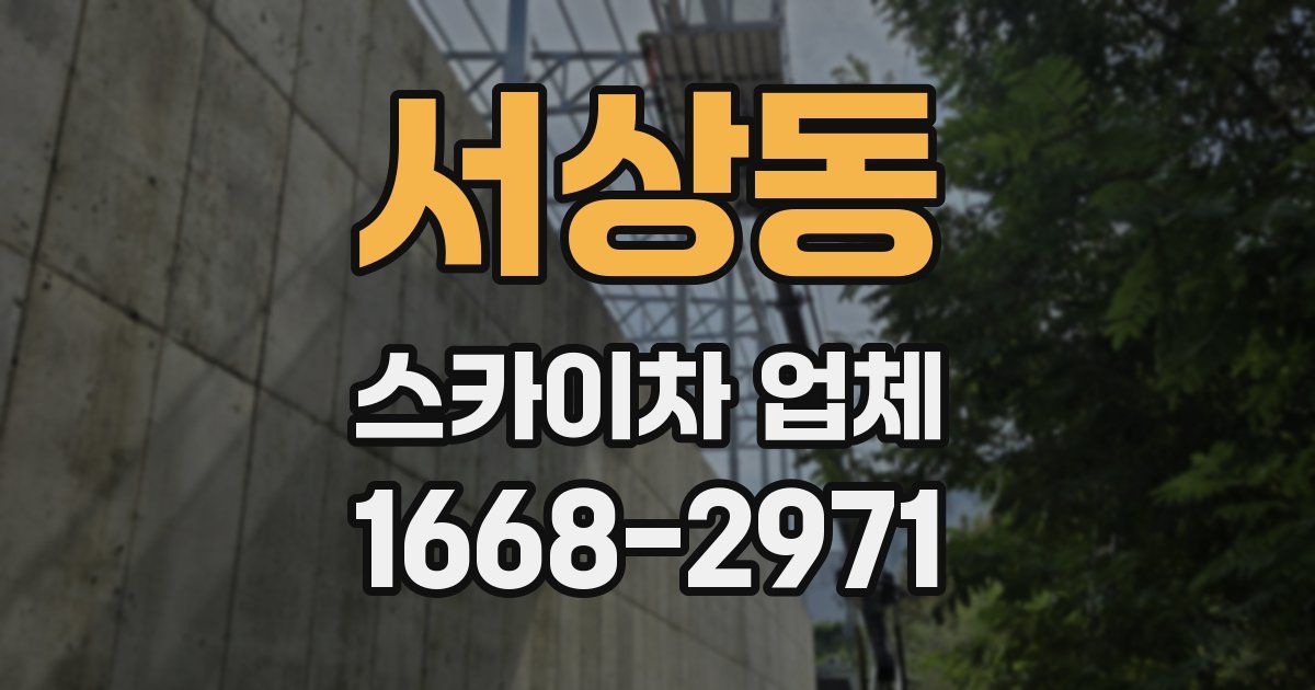 서상동 스카이차 업체
