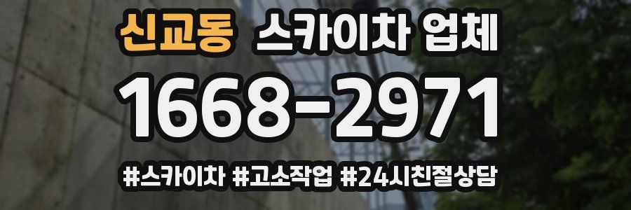 신교동 스카이차 업체