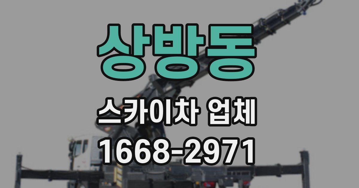 상방동 스카이차 업체