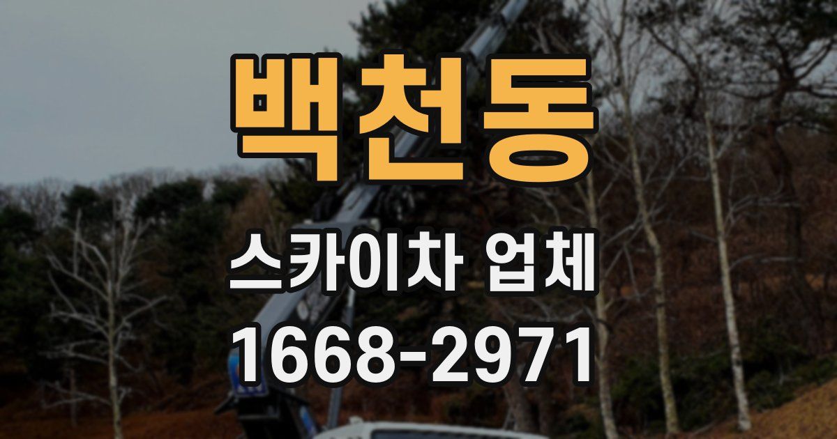 백천동 스카이차 업체