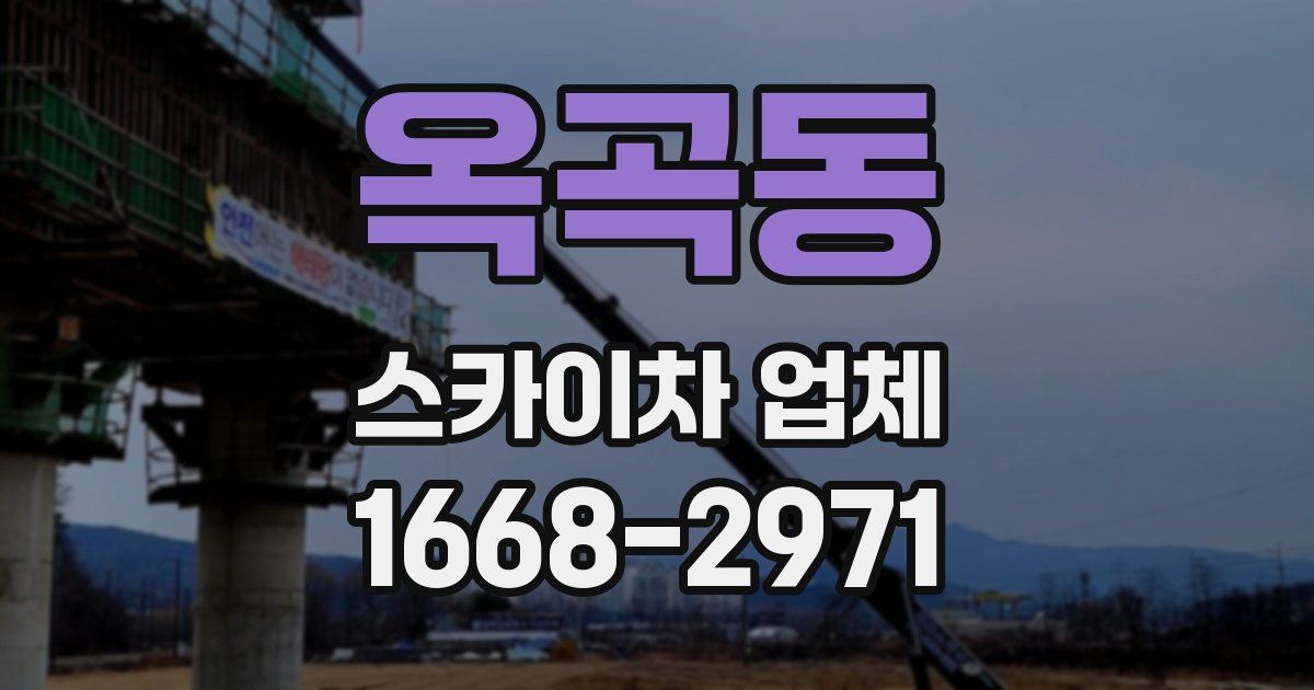 옥곡동 스카이차 업체