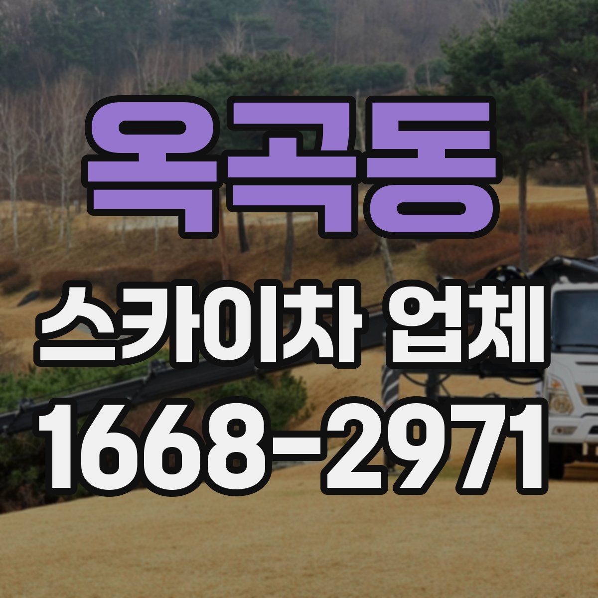 옥곡동 스카이차 업체