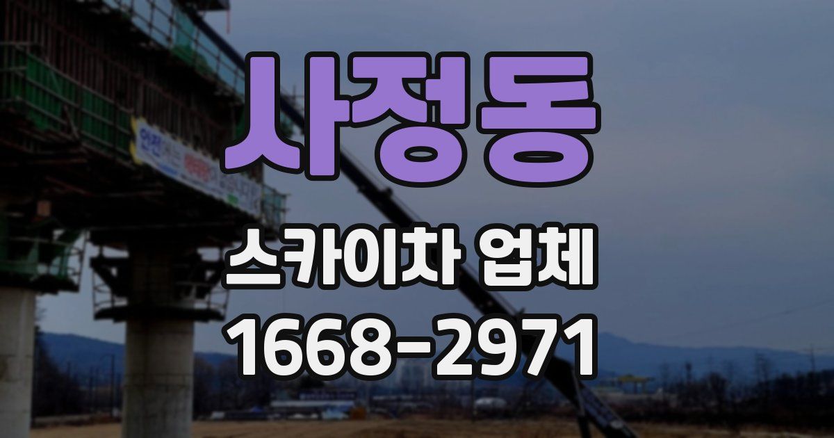 사정동 스카이차 업체