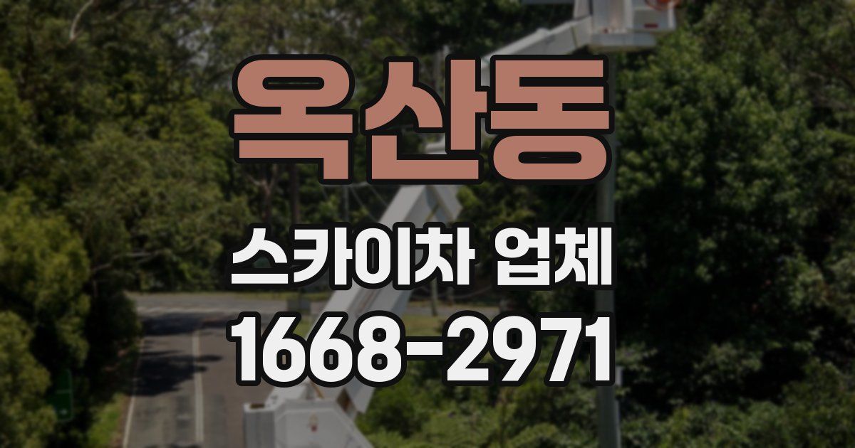 옥산동 스카이차 업체