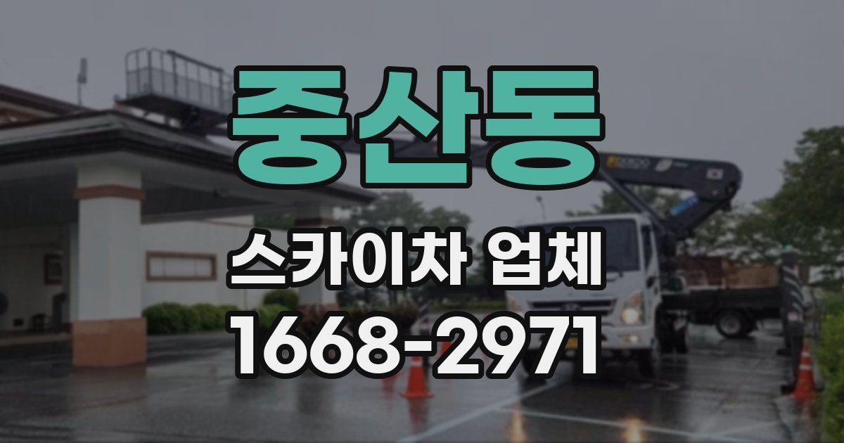 중산동 스카이차 업체