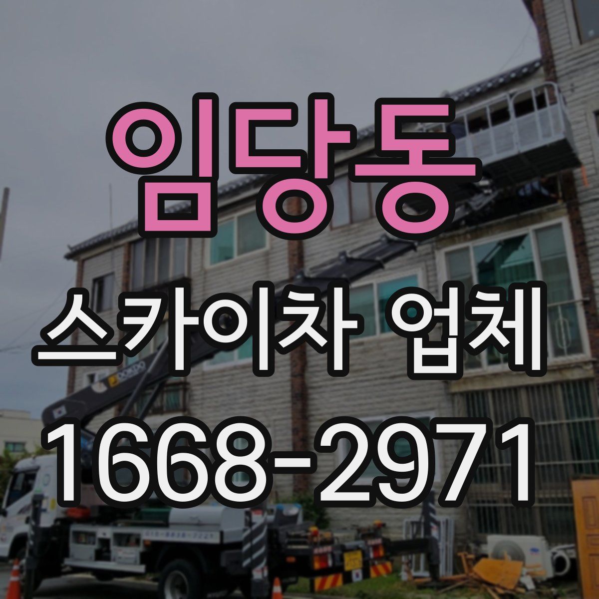 임당동 스카이차 업체
