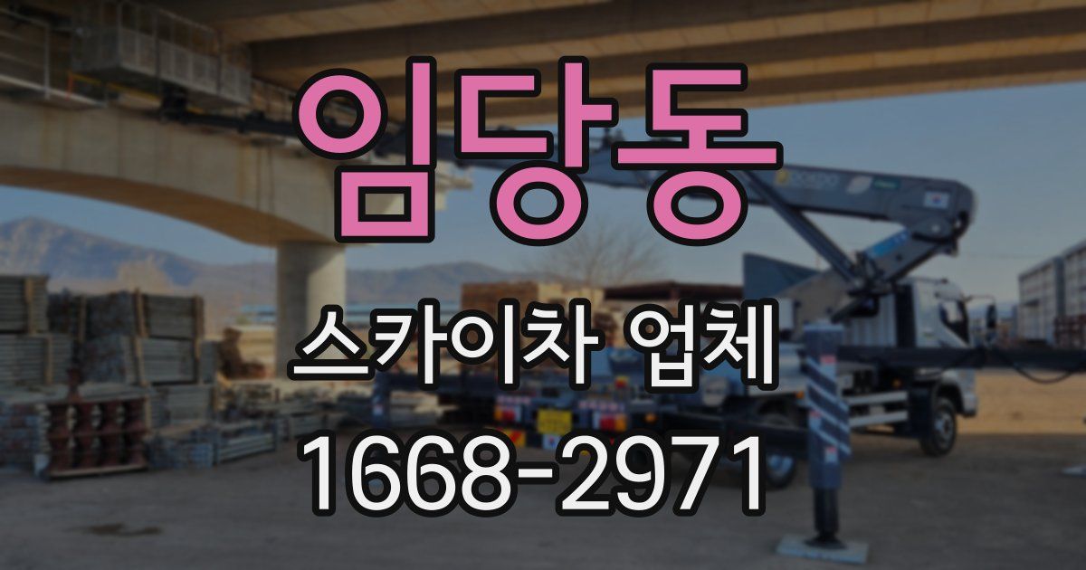 임당동 스카이차 업체