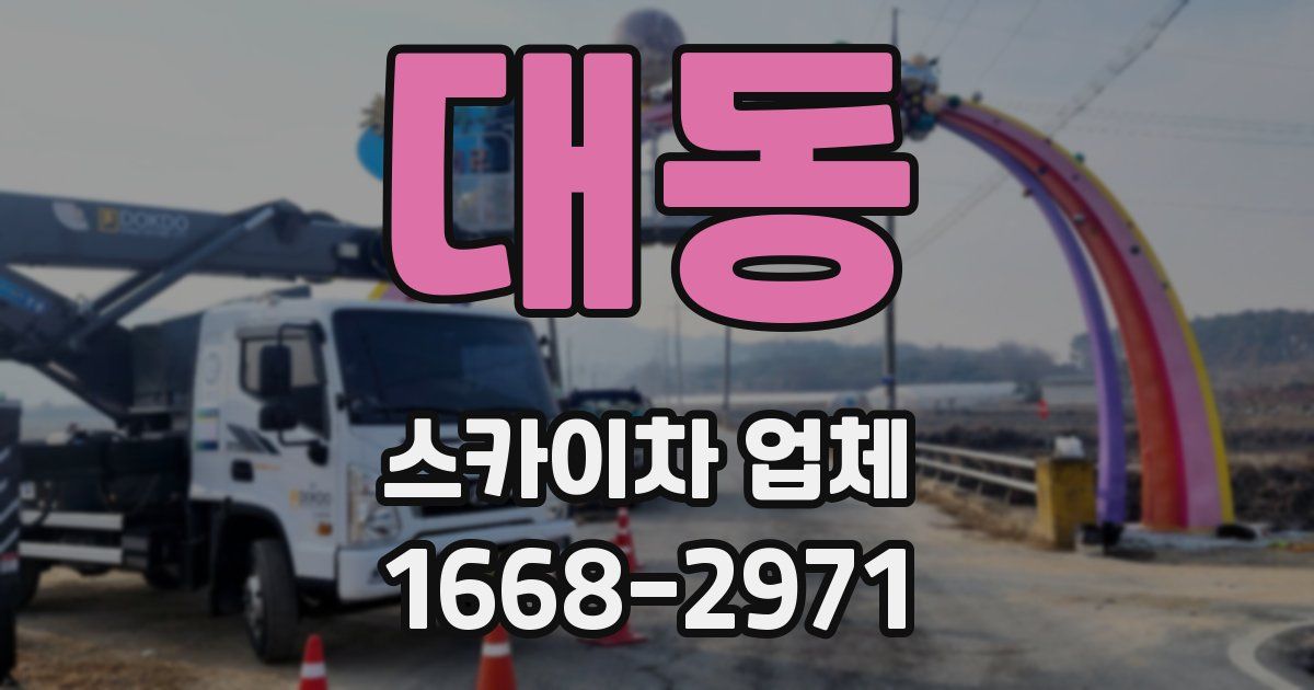 대동 스카이차 업체