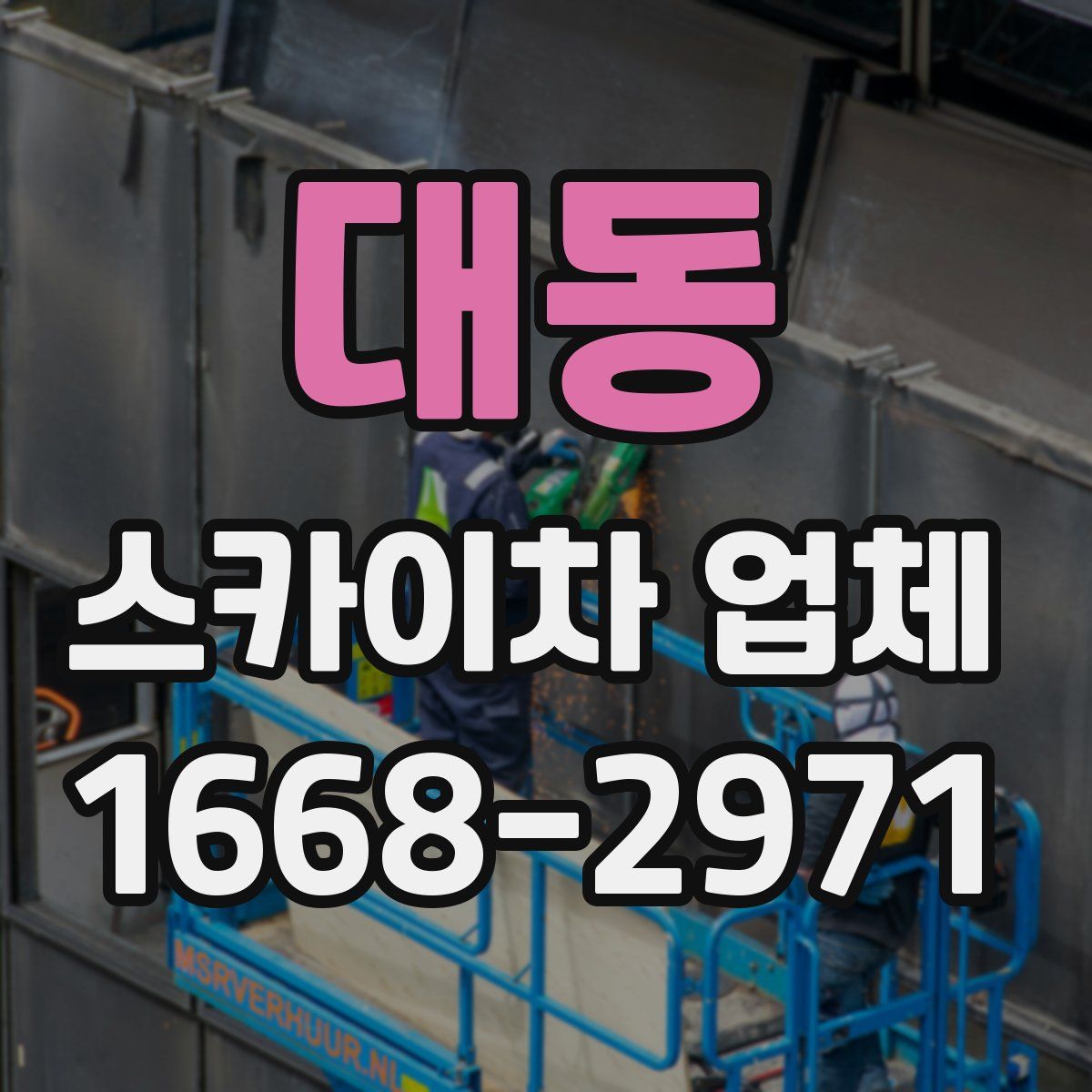 대동 스카이차 업체