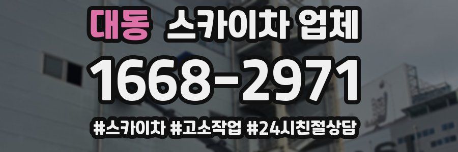 대동 스카이차 업체