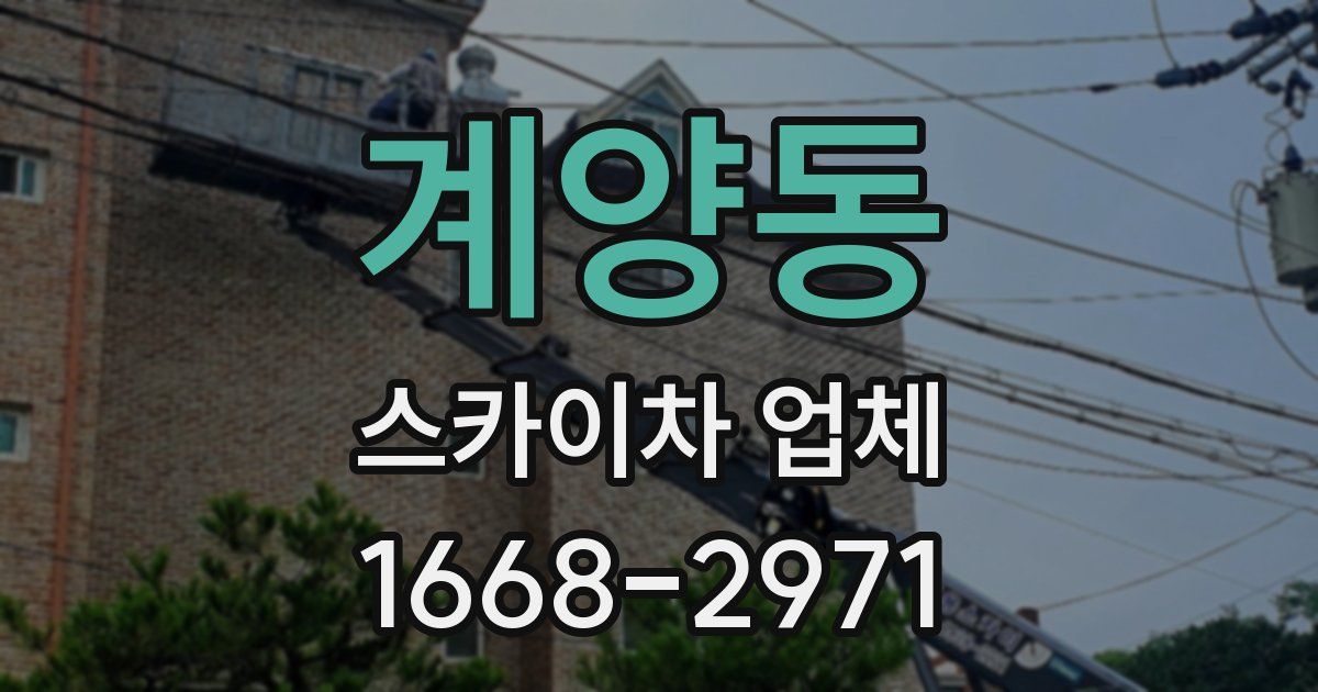 계양동 스카이차 업체