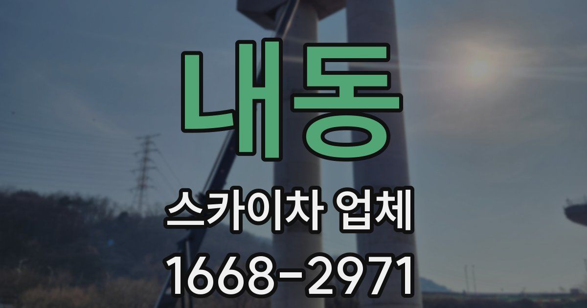 내동 스카이차 업체