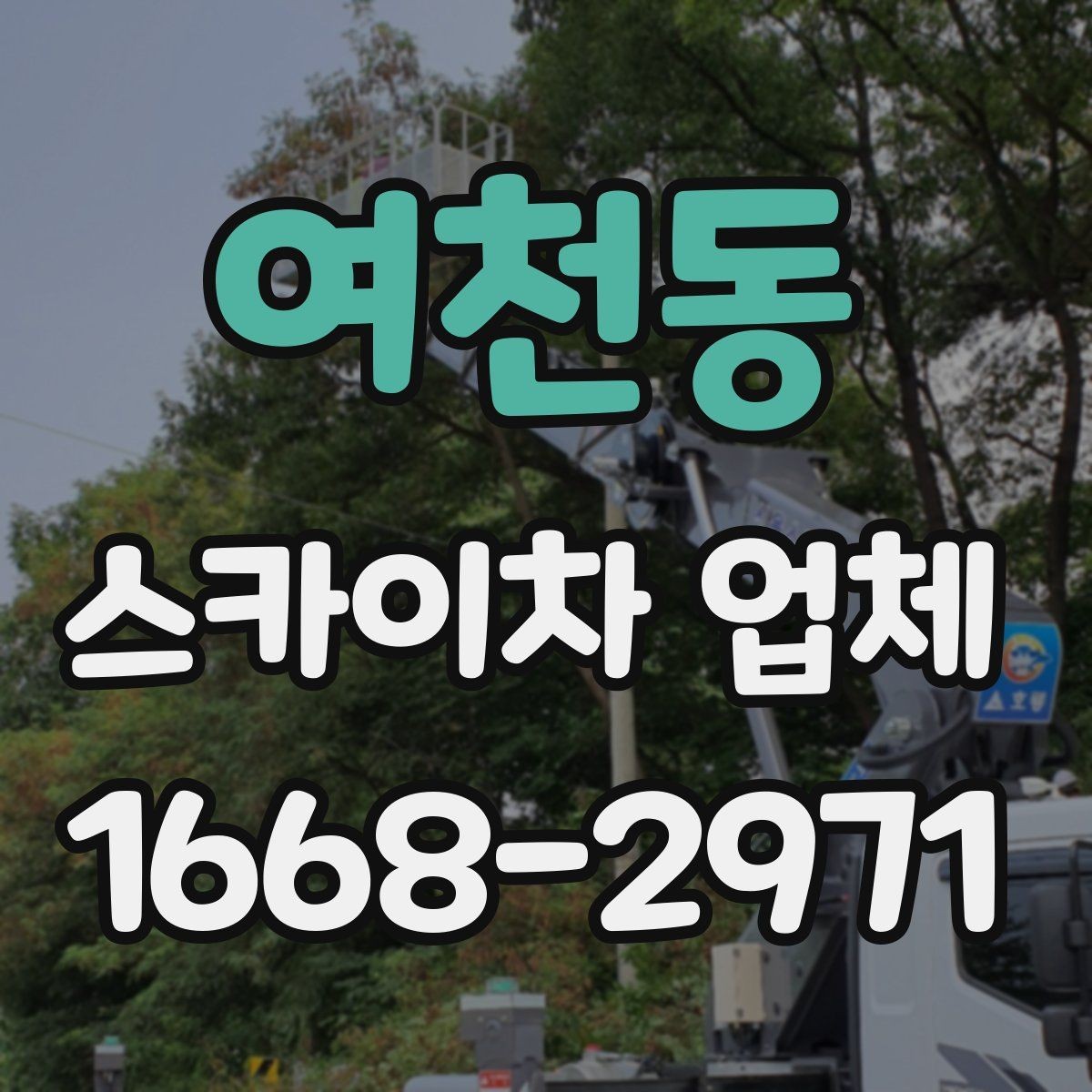 여천동 스카이차 업체 이용 후기에서 자주 보는 포인트