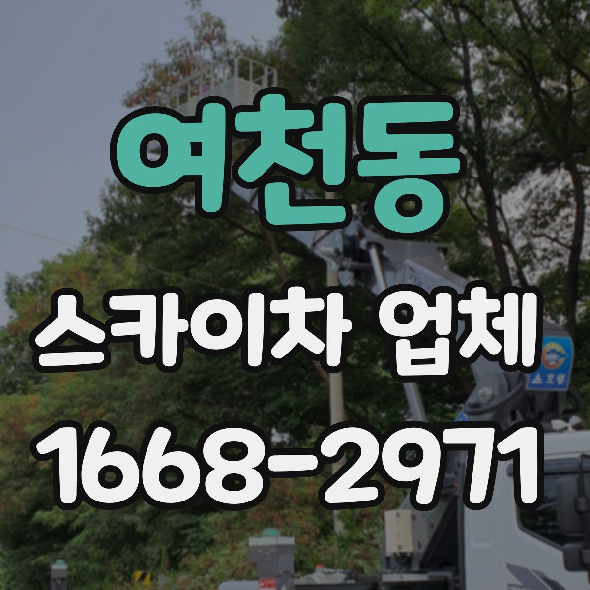 여천동 스카이차 업체
