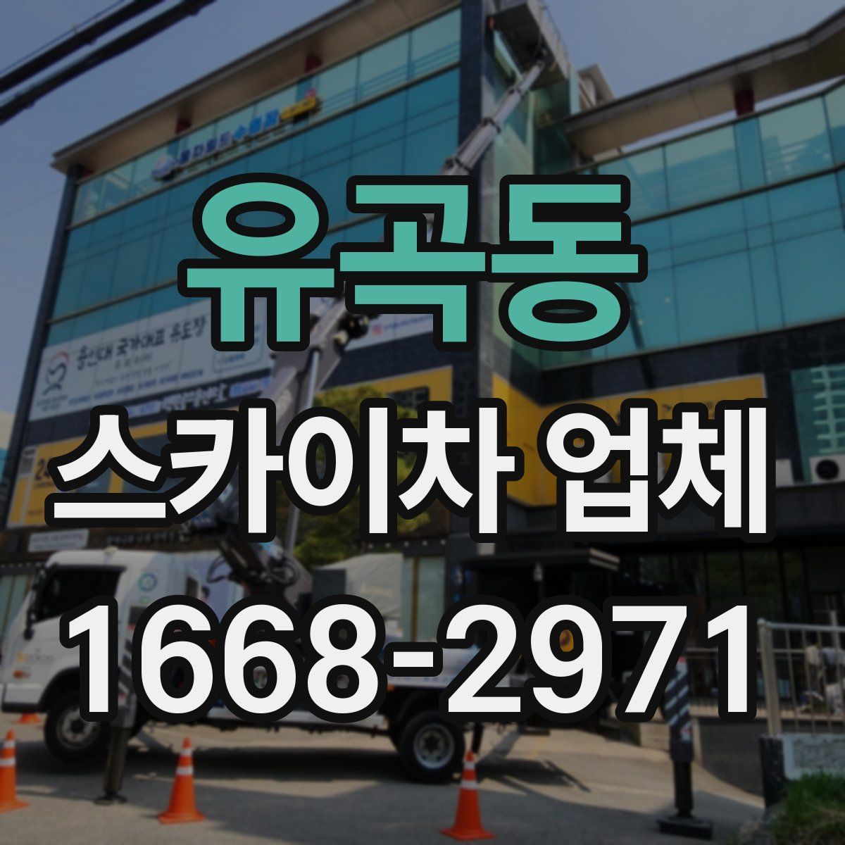 유곡동 스카이차 업체