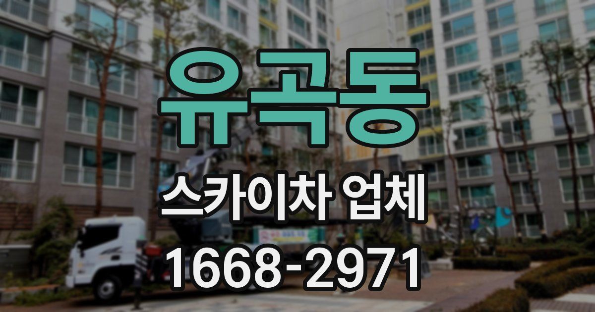 유곡동 스카이차 업체