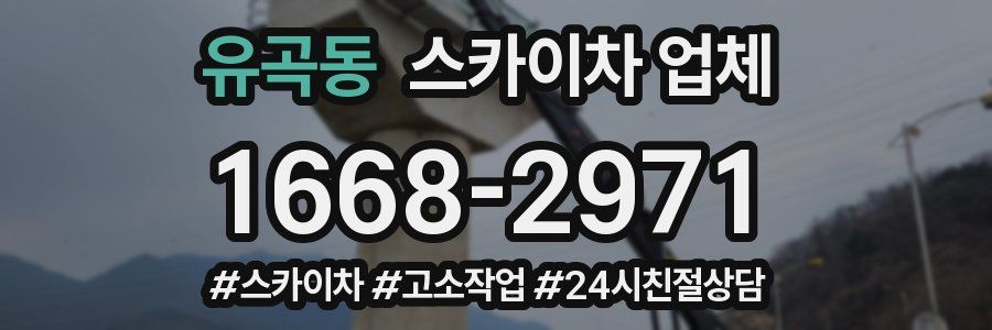 유곡동 스카이차 업체