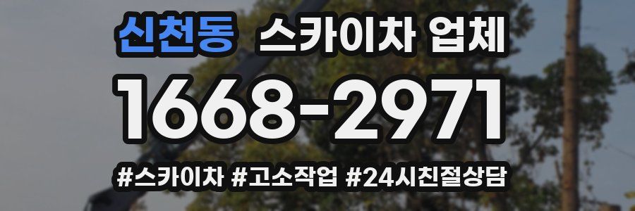 신천동 스카이차 업체