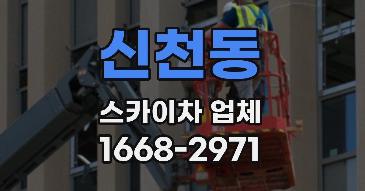 신천동 스카이차 업체