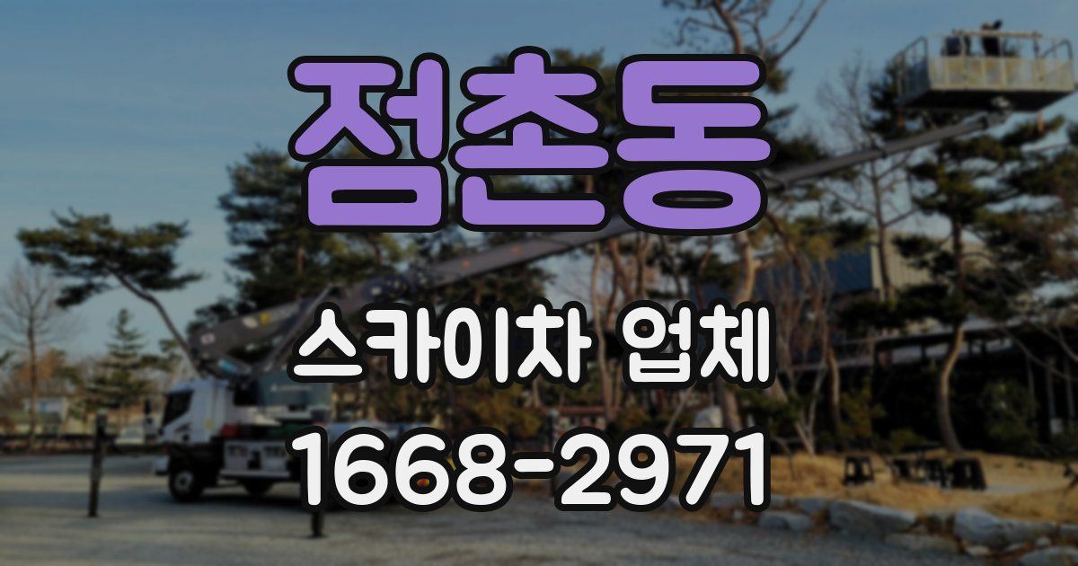 점촌동 스카이차 업체