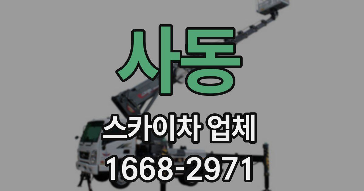 사동 스카이차 업체