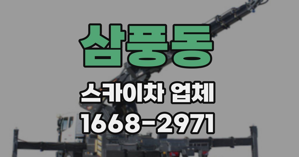 삼풍동 스카이차 업체