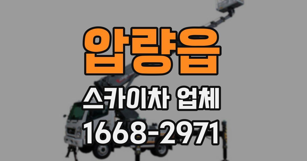 압량읍 스카이차 업체