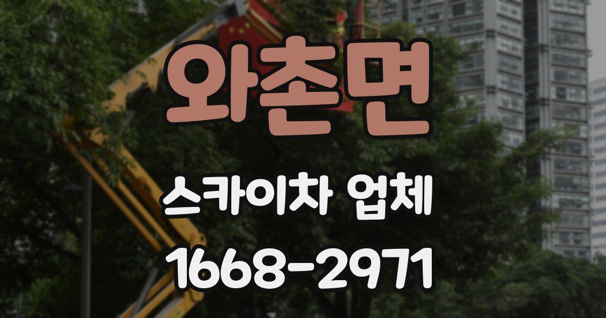 와촌면 스카이차 업체