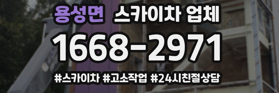 용성면 스카이차 업체