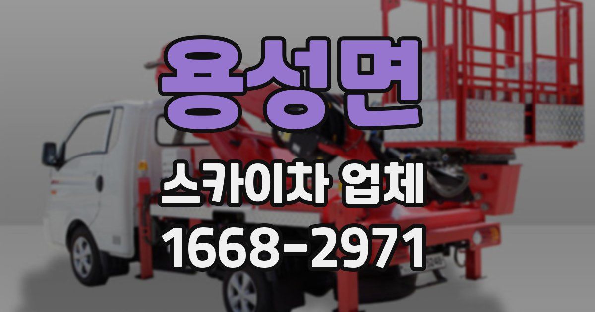 용성면 스카이차 업체