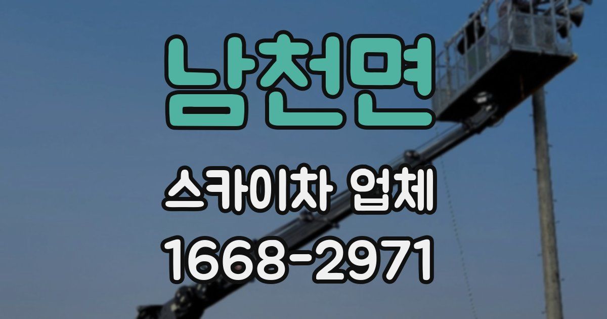 남천면 스카이차 업체