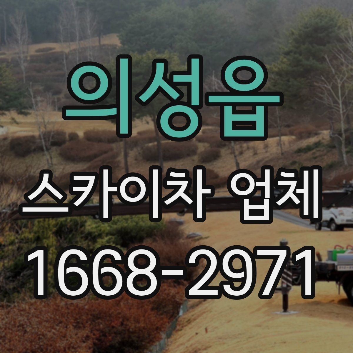 의성읍 스카이차 업체 선택 시 안전장비 확인이 필요한 이유