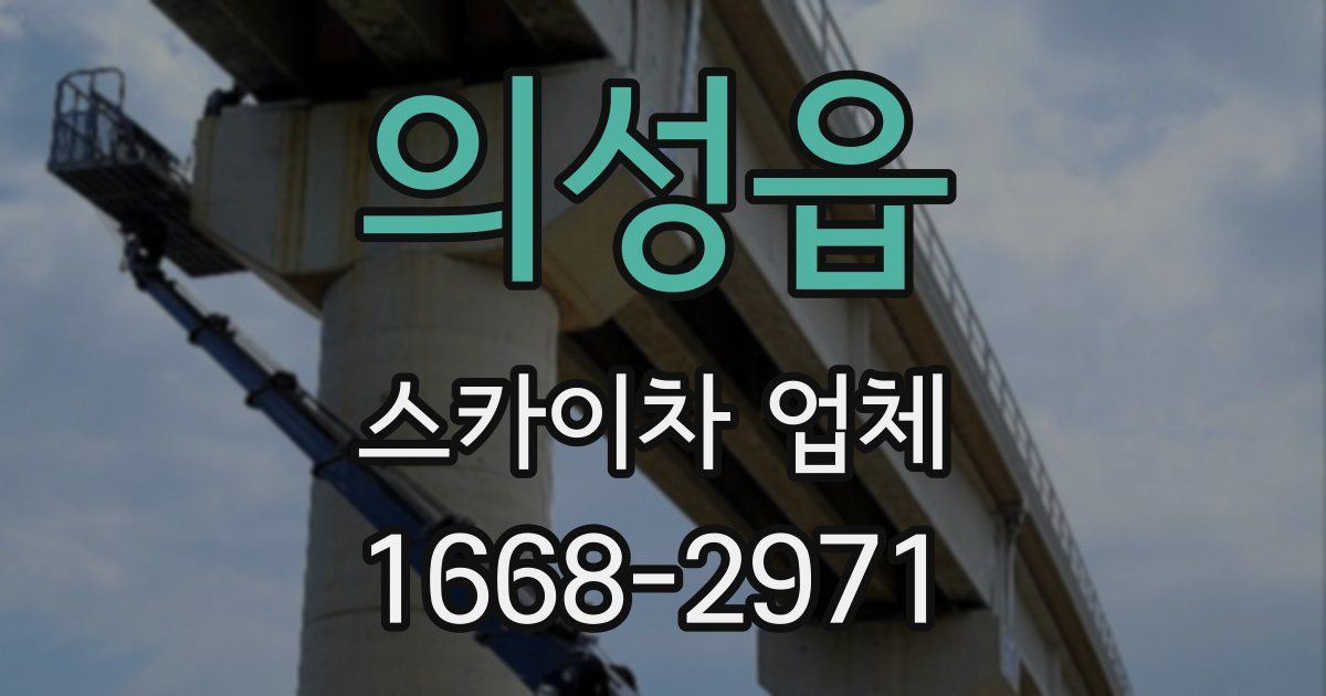 의성읍 스카이차 업체