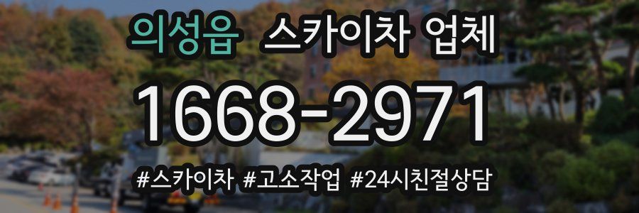의성읍 스카이차 업체
