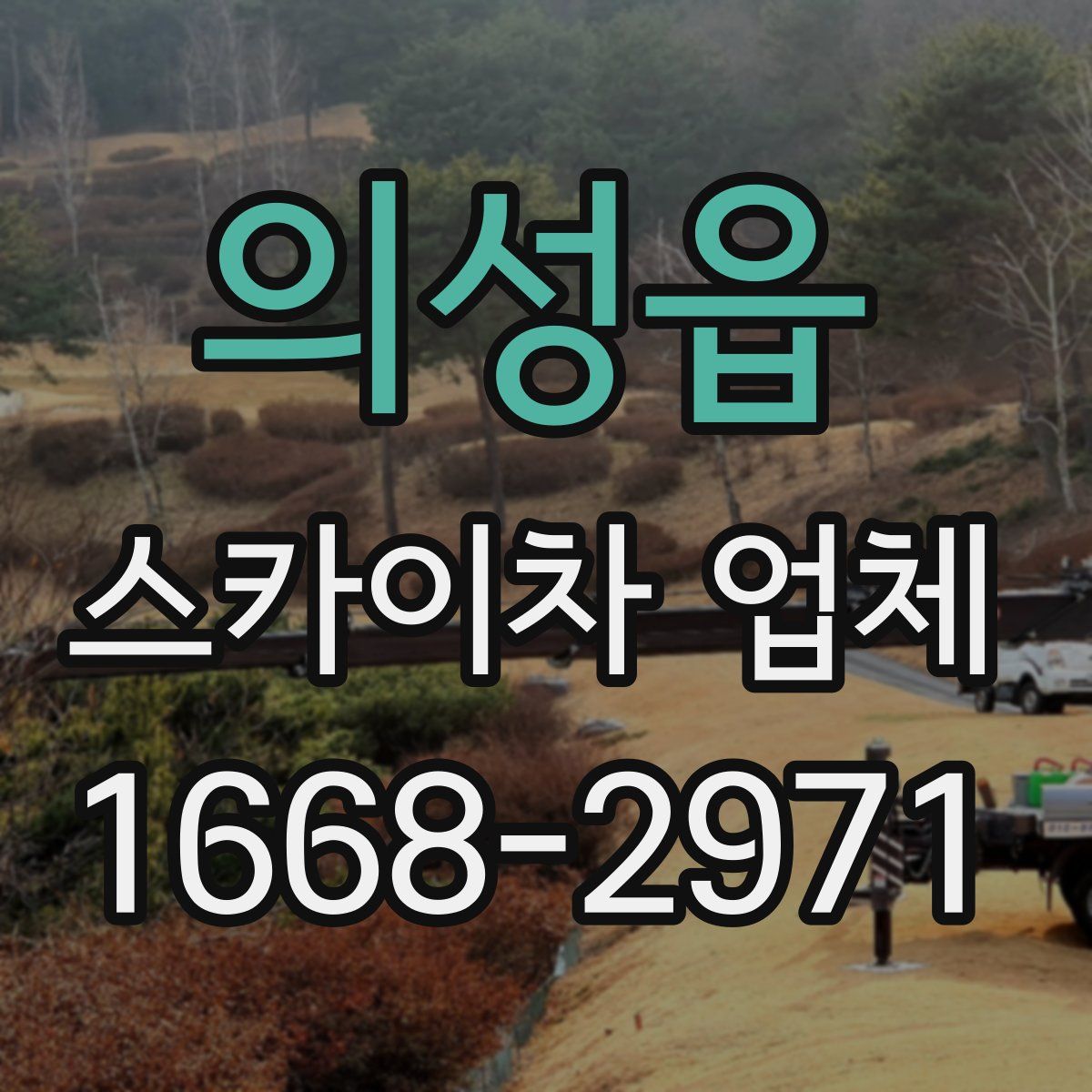 의성읍 스카이차 업체