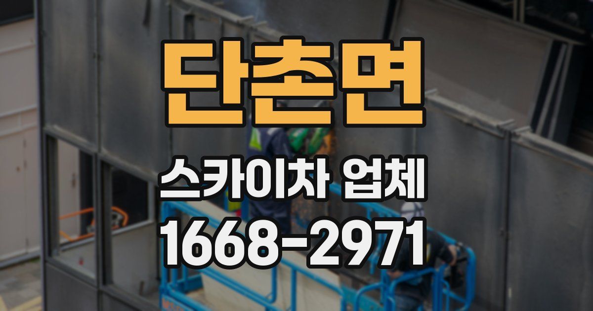 단촌면 스카이차 업체