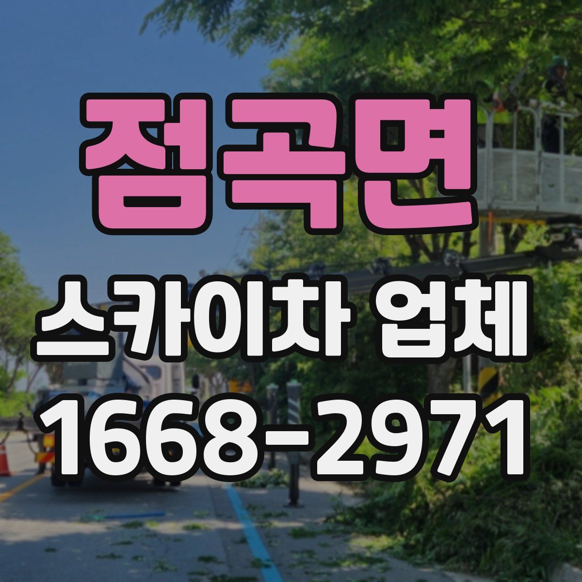 점곡면 스카이차 업체
