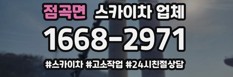 점곡면 스카이차 업체